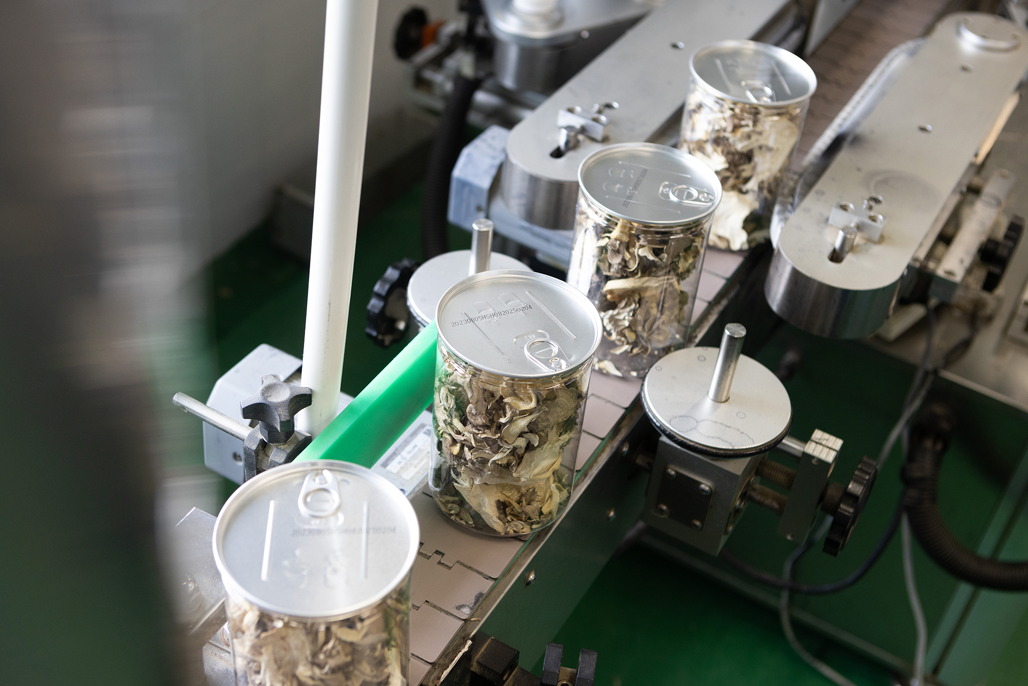 fresh mushroom picking 05.jpg